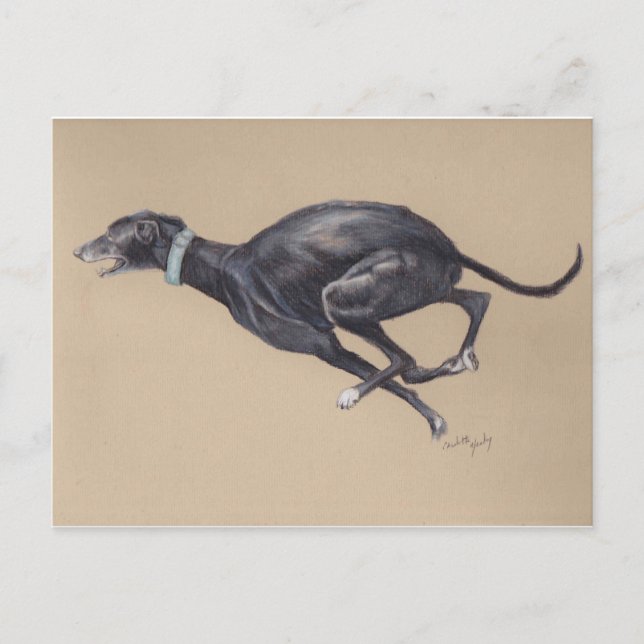 Postal de arte de perro en ejecución de Greyhound  (Anverso)