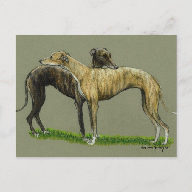 Postal de arte de perro "Greyhound Hug" (Anverso)