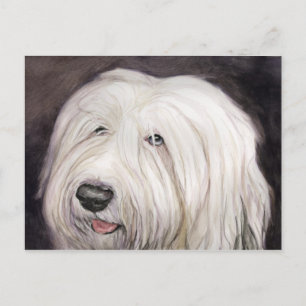 Postal de arte de Sheepdog inglesa antigua