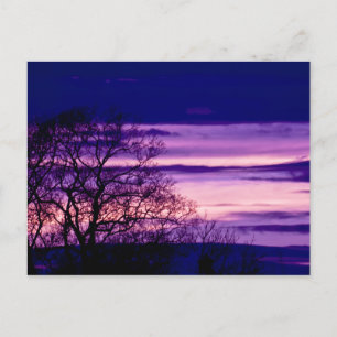 Postal de arte de silueta de árbol morado de sol