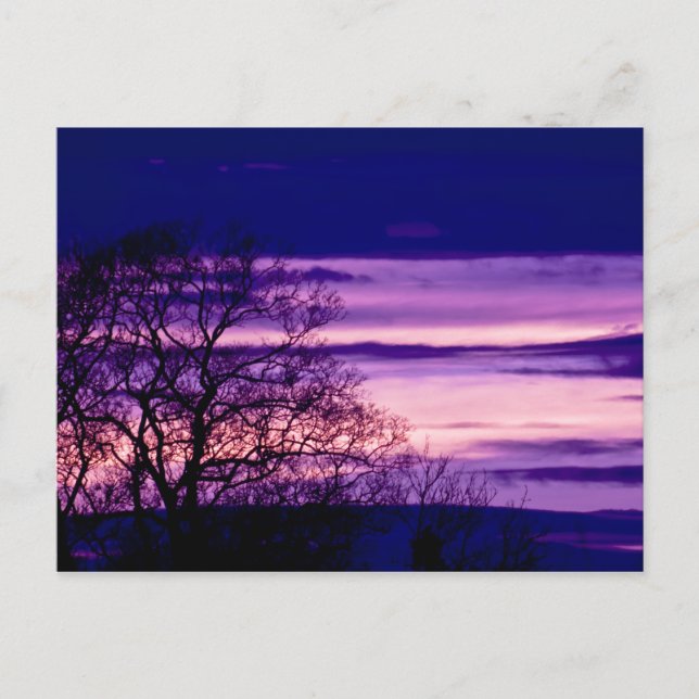 Postal de arte de silueta de árbol morado de sol (Anverso)