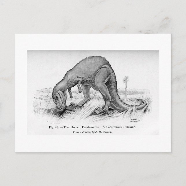 Postal de arte del Ceratosaurio (Anverso)