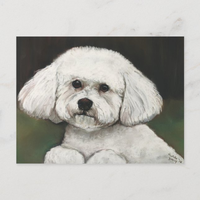 Postal de arte del perro original de Bichon Frise (Anverso)