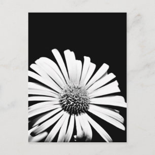 Postal de arte floral de Doronicum (blanco y negro