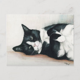 Postal de arte "Gato de Tuxedo"