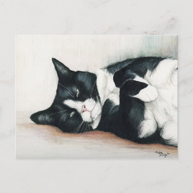 Postal de arte "Gato de Tuxedo" (Anverso)