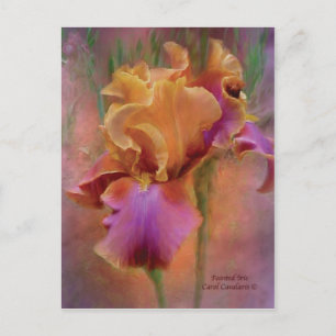 Postal de arte iris pintada