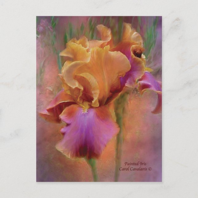 Postal de arte iris pintada (Anverso)