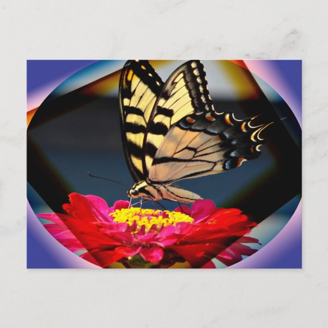 Postal de arte mariposa (Anverso)