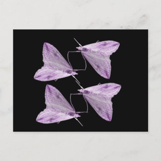 Postal de arte morado