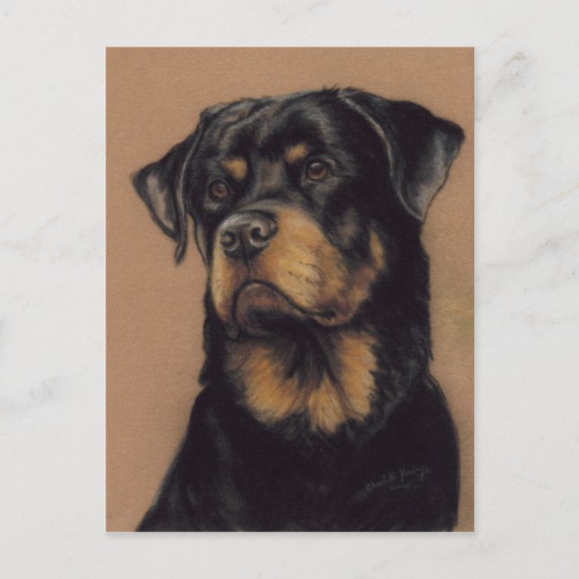 Postal de arte original de Rottweiler (Anverso)