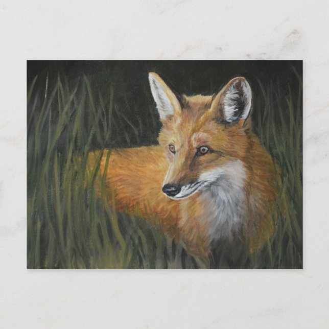 Postal de arte para animales de la Red Fox (Anverso)