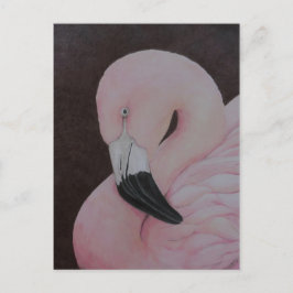 Postal de arte para aves de flamenco original