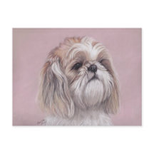 Postal de arte para perros Shih tzu
