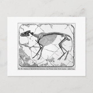 Postal de arte venticoluo de Hyracotherium