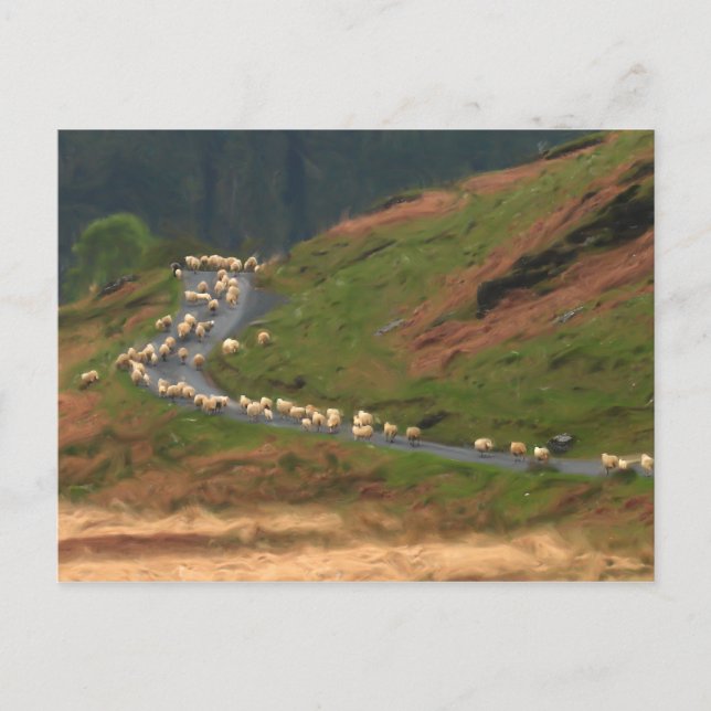 Postal de atasco de tráfico (Anverso)