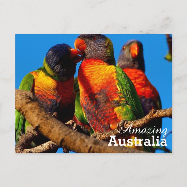 postal de Australia asombrosa (Anverso)