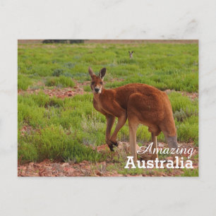 postal de Australia asombrosa