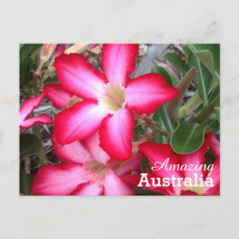 postal de Australia asombrosa