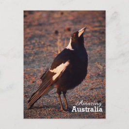 postal de Australia asombrosa