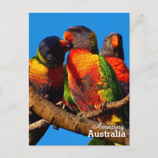 postal de Australia asombrosa (Anverso)