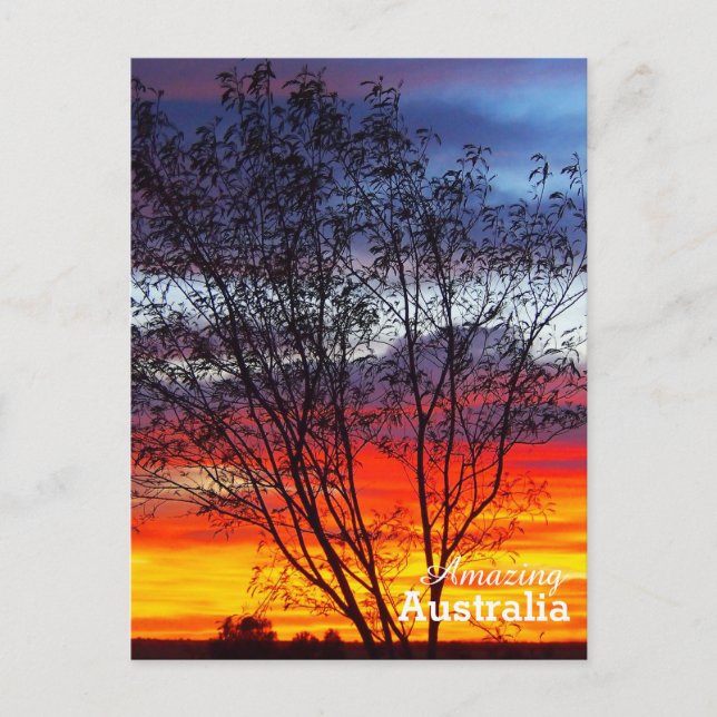 postal de Australia asombrosa (Anverso)