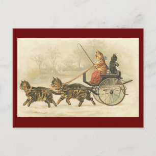 Postal de autocar de kitten vintage