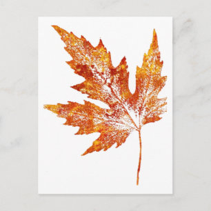 Postal de "Autumn Maple #1"