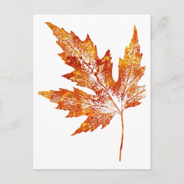 Postal de "Autumn Maple #1" (Anverso)