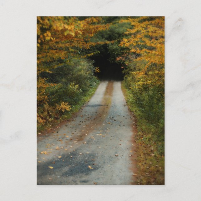 postal de Autumn Road (Anverso)
