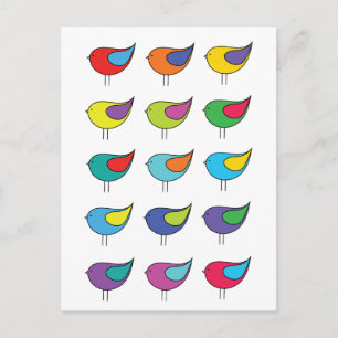 Postal de aves diversas