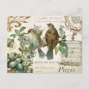 Postal de aves francesas vintage