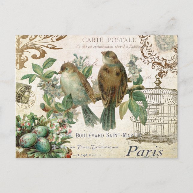 Postal de aves francesas vintage (Anverso)