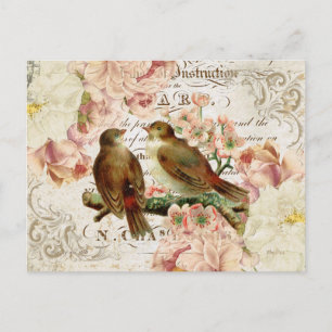 Postal de aves francesas vintage