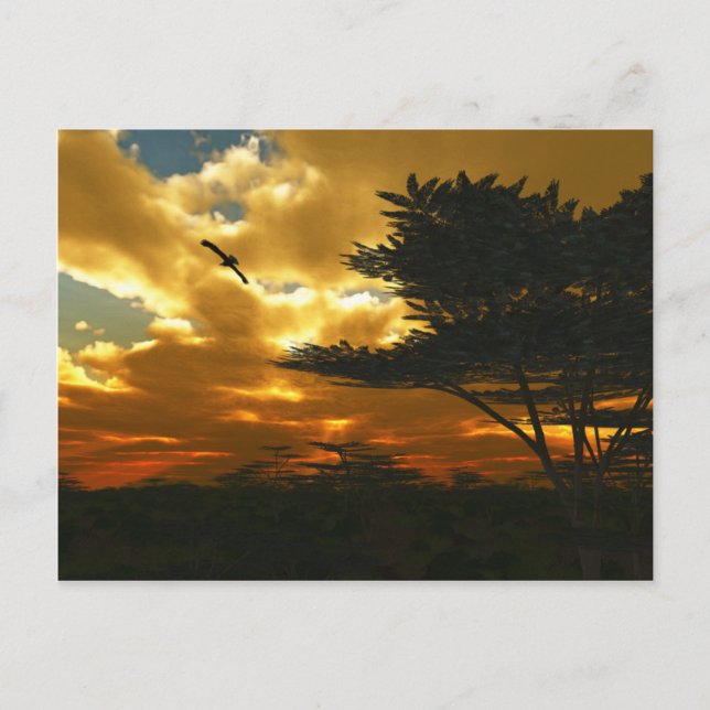 Postal de aviones africanos (Anverso)