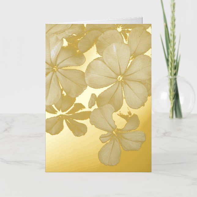 postal de b&w (Anverso)