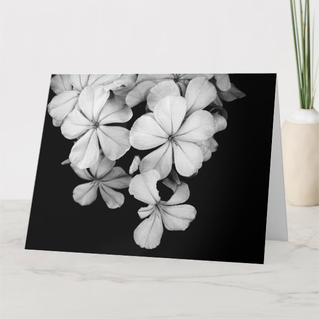 postal de b&w (Anverso)