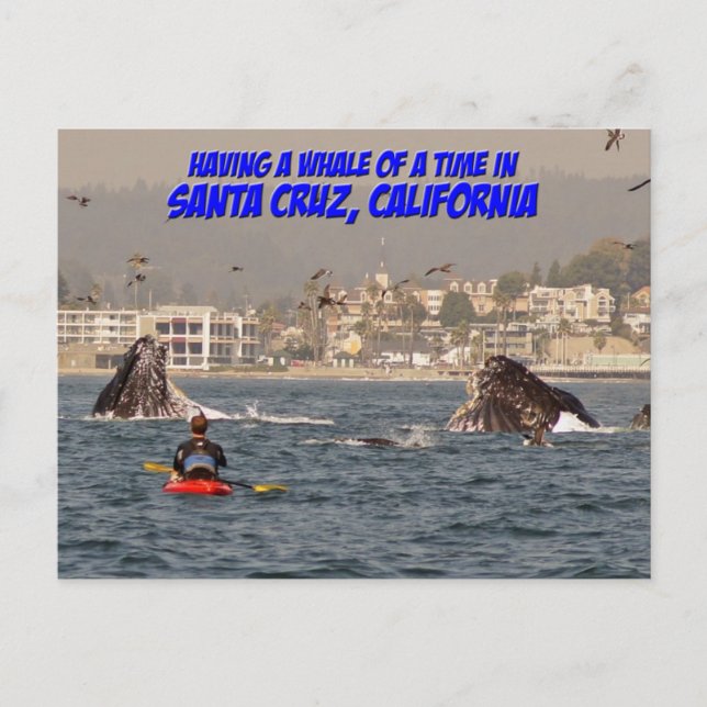 Postal de ballena de un tiempo de Santa Cruz (Anverso)