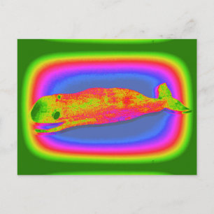 postal de ballena psicodélica sonriente