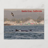 postal de ballenas jorobadas de Santa Cruz, Califo