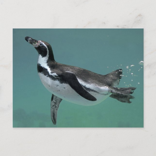 Postal de ballet subacuático (Anverso)