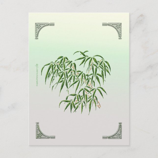 Postal de Bambú (Anverso)