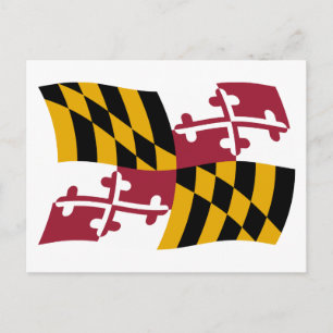 Postal de bandera de Maryland