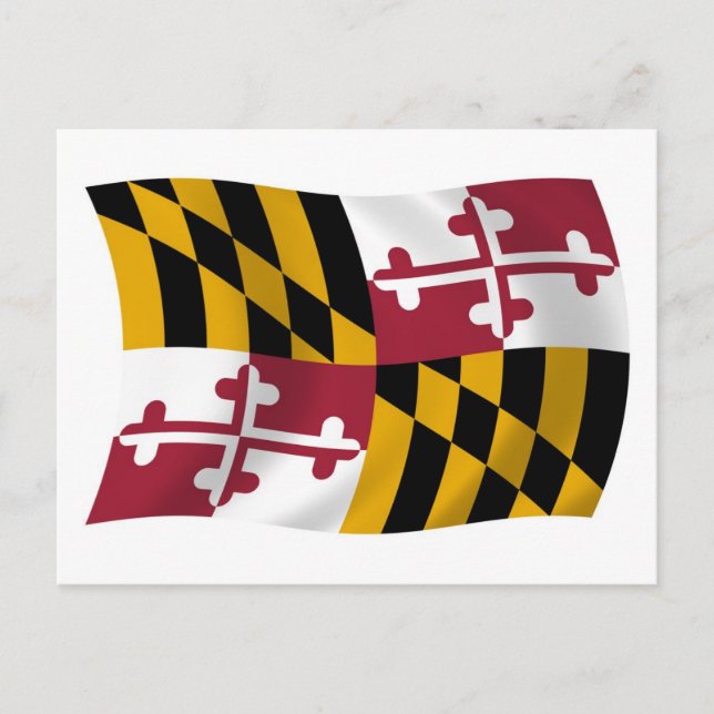 Postal de bandera de Maryland (Anverso)