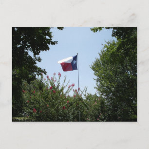 Postal de bandera de Texas