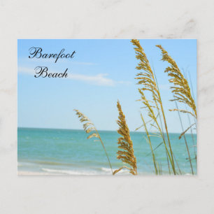 postal de Barefoot Beach