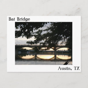 Postal de Bat Bridge en Austin, Texas