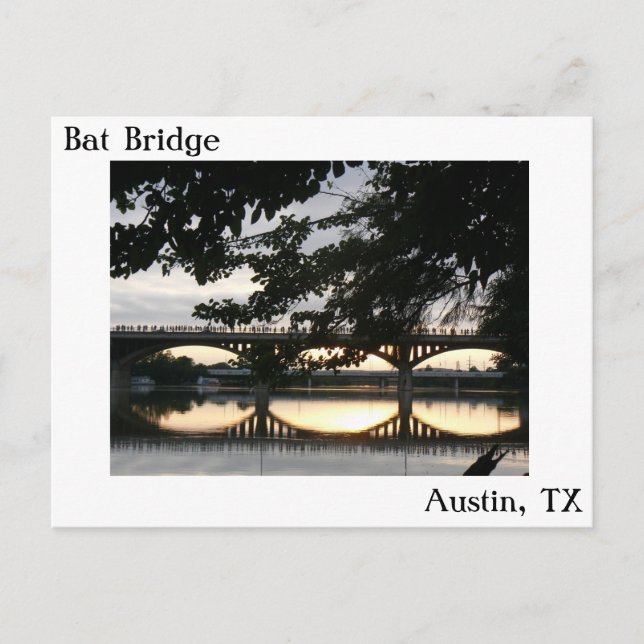 Postal de Bat Bridge en Austin, Texas (Anverso)