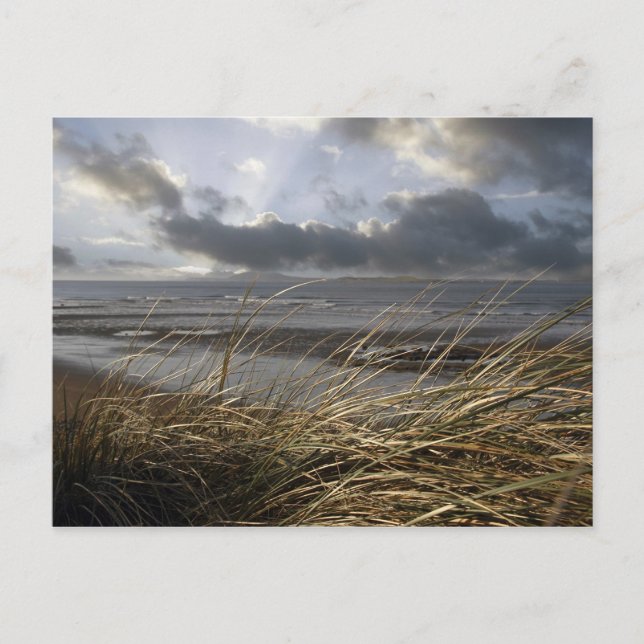 postal de beale ceds (Anverso)