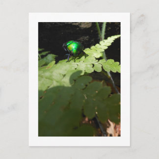 Postal de Beatle brillante